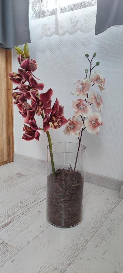 Natura Panzio Szilvásvárad Zewnętrze zdjęcie
